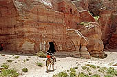 Petra - Wadi Farasa 